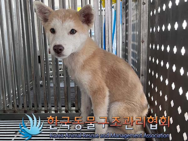 한국동물구조관리협회_441406202401718